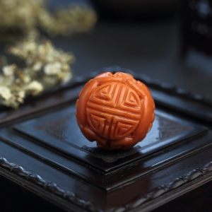 MOMO珊瑚龙珠
