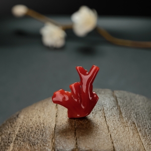 阿卡红珊瑚树枝