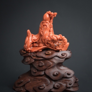 MOMO橘红珊瑚寿星摆件