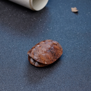 海南黄花梨富甲天下手把件