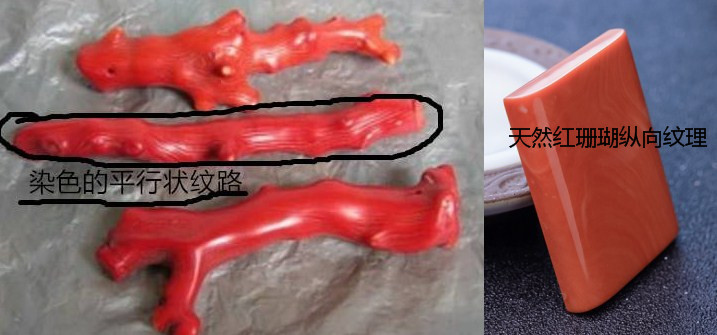 如何鉴别真假红珊瑚