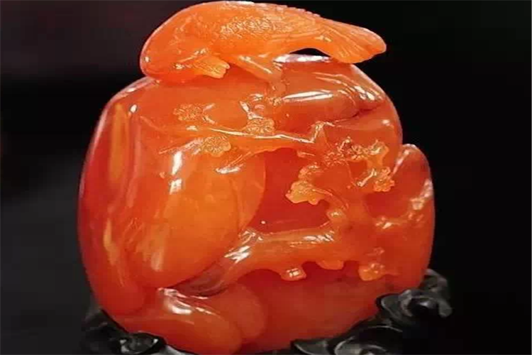 金丝玉