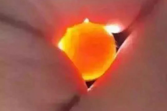 如何辨别南红真假，南红真假辨别图