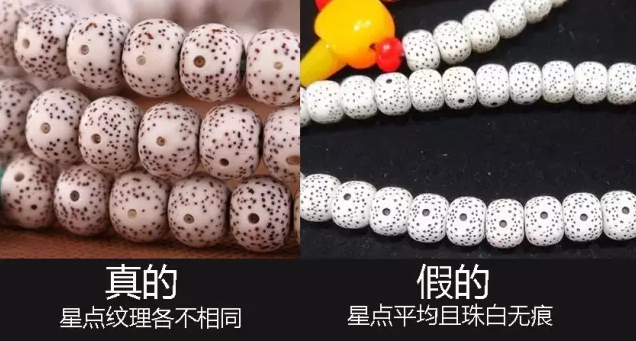 星月菩提怎么看真假