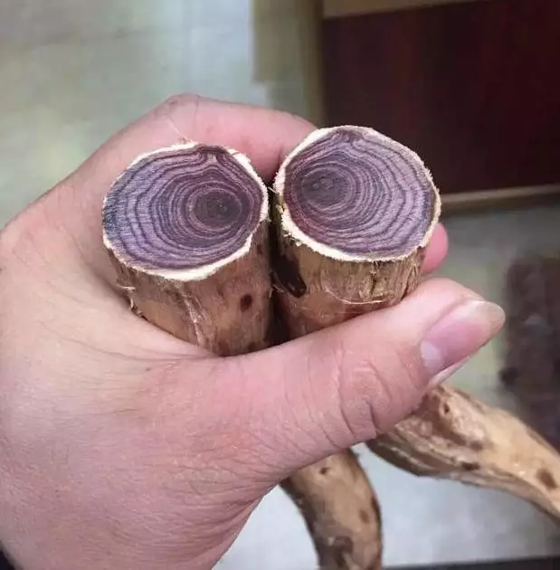 黄花梨