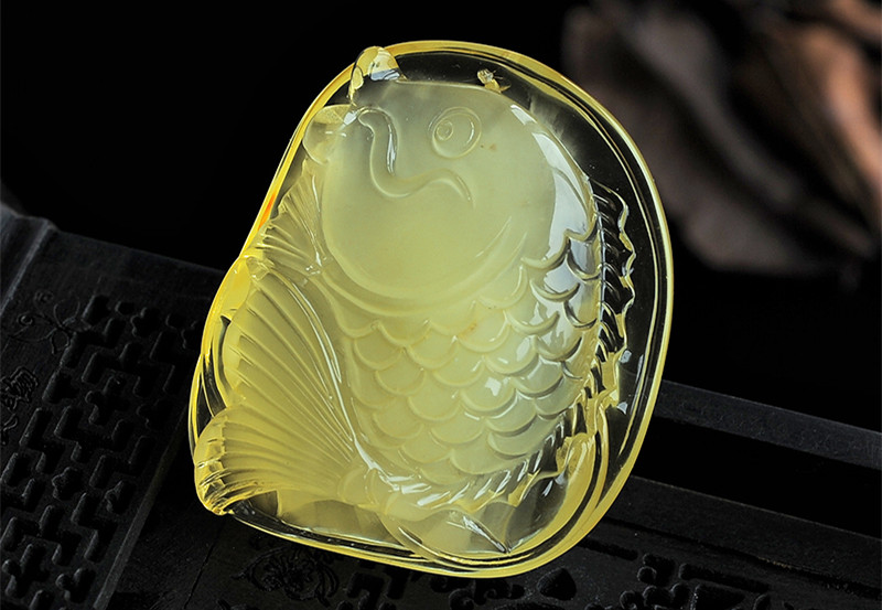 金包蜜鲤鱼