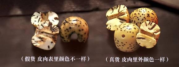 星月菩提-红掌柜